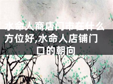 水命人商店门市在什么方位好,水命人店铺门口的朝向