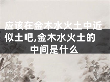 应该在金木水火土中近似土吧,金木水火土的中间是什么