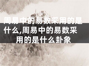周易中的易数采用的是什么,周易中的易数采用的是什么卦象