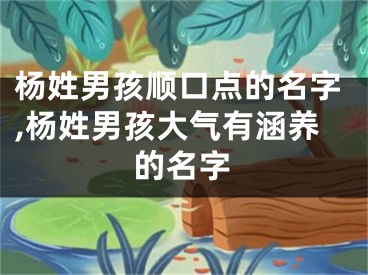 杨姓男孩顺口点的名字,杨姓男孩大气有涵养的名字