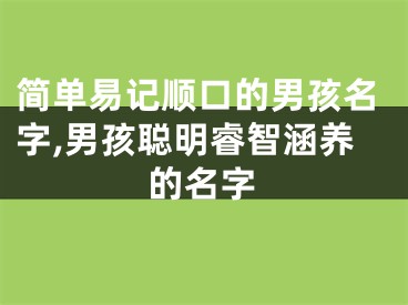 简单易记顺口的男孩名字,男孩聪明睿智涵养的名字