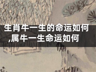 生肖牛一生的命运如何,属牛一生命运如何