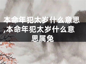 本命年犯太岁什么意思,本命年犯太岁什么意思属兔