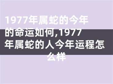 1977年属蛇的今年的命运如何,1977年属蛇的人今年运程怎么样