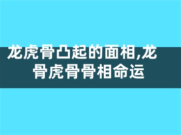 龙虎骨凸起的面相,龙骨虎骨骨相命运