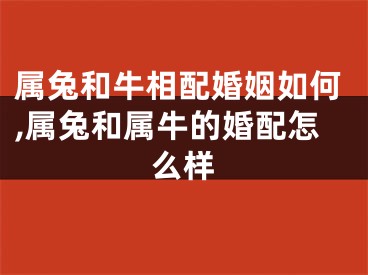 属兔和牛相配婚姻如何,属兔和属牛的婚配怎么样