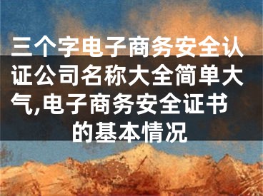 三个字电子商务安全认证公司名称大全简单大气,电子商务安全证书的基本情况