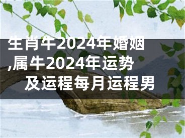 生肖牛2024年婚姻,属牛2024年运势及运程每月运程男