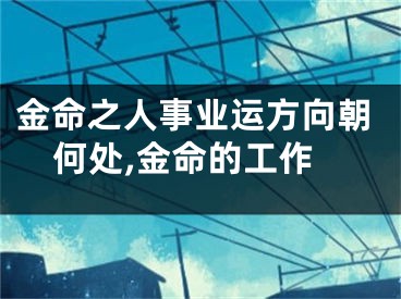 金命之人事业运方向朝何处,金命的工作