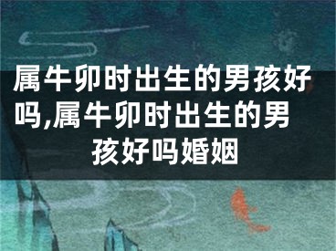 属牛卯时出生的男孩好吗,属牛卯时出生的男孩好吗婚姻