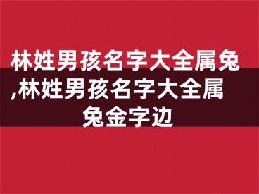 林姓男孩名字大全属兔,林姓男孩名字大全属兔金字边