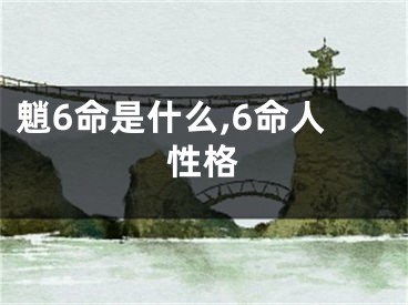 魈6命是什么,6命人性格