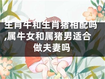 生肖牛和生肖猪相配吗,属牛女和属猪男适合做夫妻吗