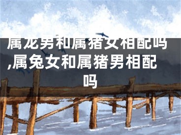 属龙男和属猪女相配吗,属兔女和属猪男相配吗