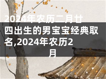 2024年农历二月廿四出生的男宝宝经典取名,2024年农历2月