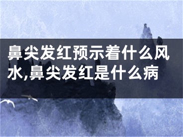 鼻尖发红预示着什么风水,鼻尖发红是什么病