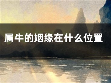 属牛的姻缘在什么位置