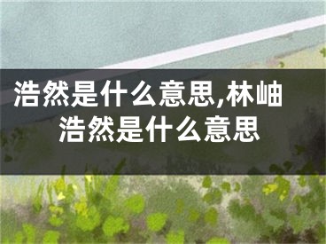 浩然是什么意思,林岫浩然是什么意思
