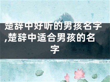 楚辞中好听的男孩名字,楚辞中适合男孩的名字