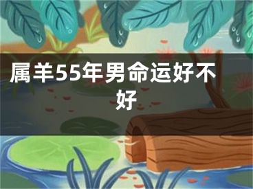 属羊55年男命运好不好
