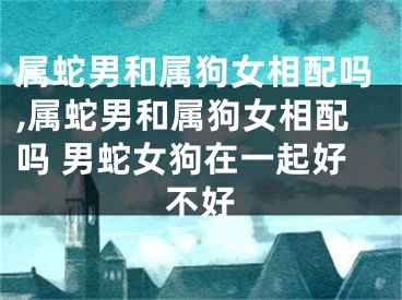 属蛇男和属狗女相配吗,属蛇男和属狗女相配吗 男蛇女狗在一起好不好