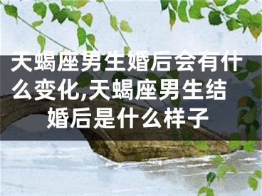 天蝎座男生婚后会有什么变化,天蝎座男生结婚后是什么样子