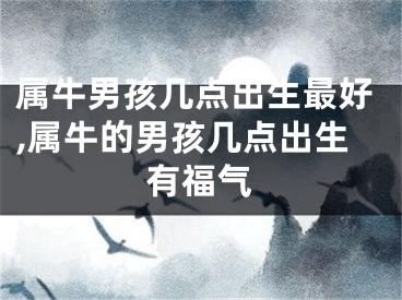 属牛男孩几点出生最好,属牛的男孩几点出生有福气