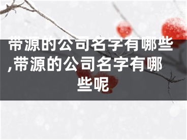 带源的公司名字有哪些,带源的公司名字有哪些呢