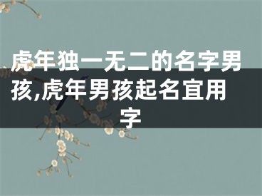 虎年独一无二的名字男孩,虎年男孩起名宜用字