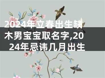 2024年立春出生缺木男宝宝取名字,2024年忌讳几月出生