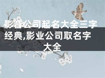 影音公司起名大全三字经典,影业公司取名字大全