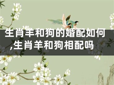 生肖羊和狗的婚配如何,生肖羊和狗相配吗