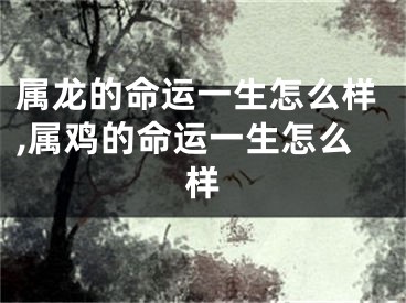 属龙的命运一生怎么样,属鸡的命运一生怎么样