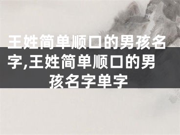 王姓简单顺口的男孩名字,王姓简单顺口的男孩名字单字
