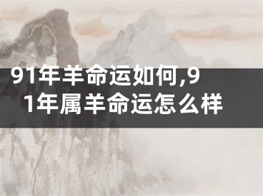 91年羊命运如何,91年属羊命运怎么样