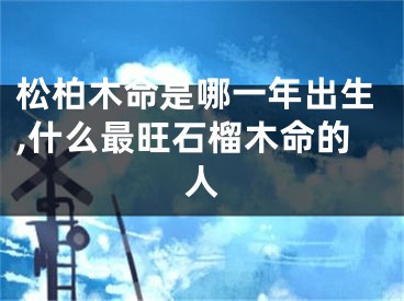 松柏木命是哪一年出生,什么最旺石榴木命的人