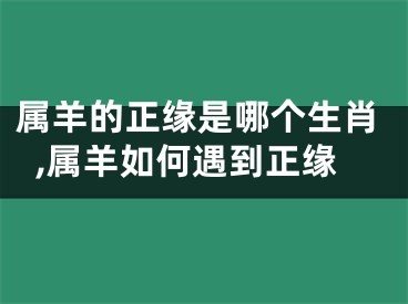 属羊的正缘是哪个生肖,属羊如何遇到正缘