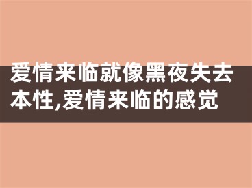 爱情来临就像黑夜失去本性,爱情来临的感觉