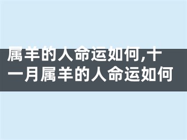 属羊的人命运如何,十一月属羊的人命运如何