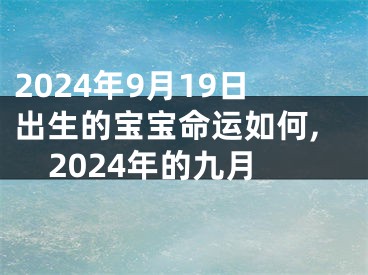 2024年9月19日出生的宝宝命运如何,2024年的九月