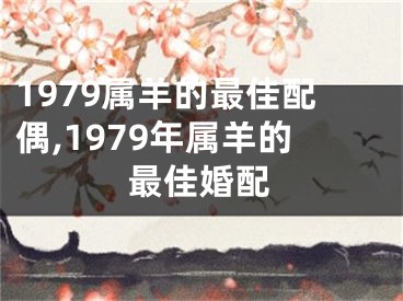 1979属羊的最佳配偶,1979年属羊的最佳婚配