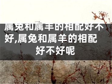 属兔和属羊的相配好不好,属兔和属羊的相配好不好呢