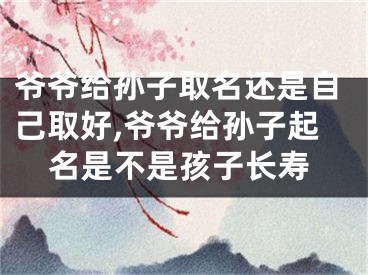 爷爷给孙子取名还是自己取好,爷爷给孙子起名是不是孩子长寿