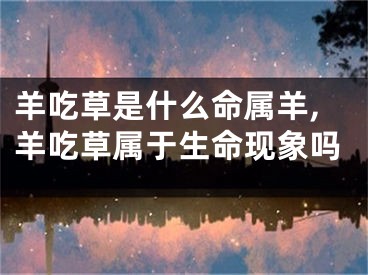 羊吃草是什么命属羊,羊吃草属于生命现象吗