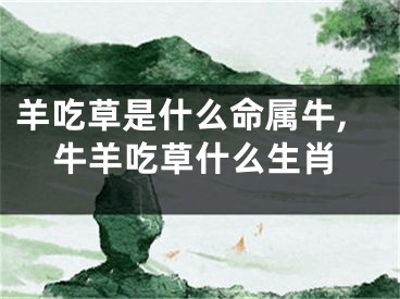 羊吃草是什么命属牛,牛羊吃草什么生肖