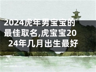 2024虎年男宝宝的最佳取名,虎宝宝2024年几月出生最好