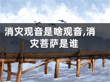 消灾观音是啥观音,消灾菩萨是谁