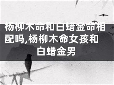 杨柳木命和白蜡金命相配吗,杨柳木命女孩和白蜡金男