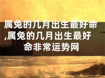 属兔的几月出生最好命,属兔的几月出生最好命非常运势网