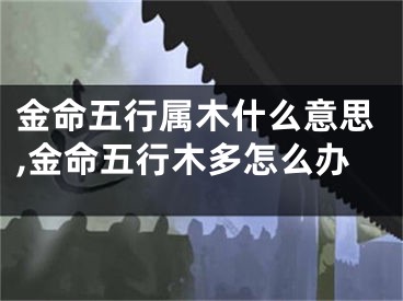 金命五行属木什么意思,金命五行木多怎么办